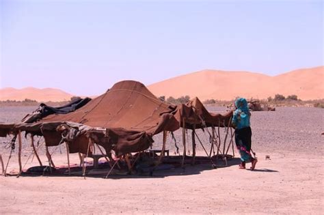 Jaima La Tienda De Los Beduinos El Mundo Arabe