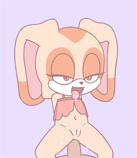 Post Cream The Rabbit Sonic The Hedgehog Series Toffee