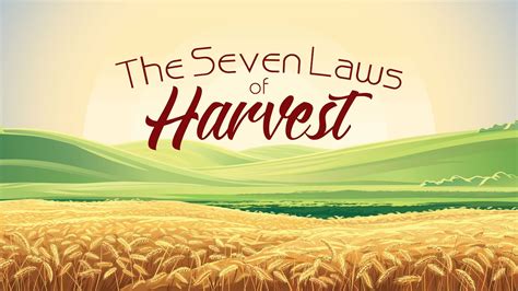 Pastor Mike Wells The Seven Laws Of Harvest Youtube