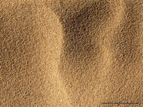 Soft Sand Texture Beach Backgrounds Light Brown HD Wallpaper Pxfuel