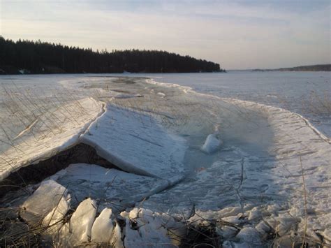 Winters Back Is Breaking At Saimaa Lake Mikkeli Finland Birches