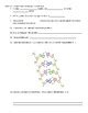 Once you find your worksheet, click on. DNA Structure and Replication worksheet by Scientific Musings | TpT