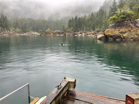 Orca Island Cabins Seward Alaska Tarifs 2022