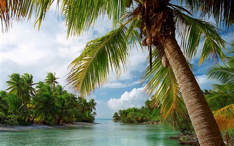 Fond Décran Paysage Mer La Nature Des Nuages Plage Tropical