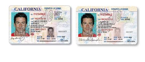 In The New Year California Issues Drivers Licenses To Illegal