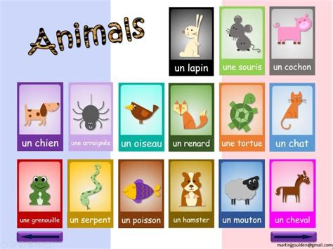 French Animals Teaching Resources