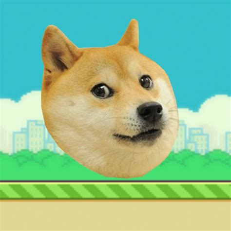 Doge Run The Game By Daisybo Llc