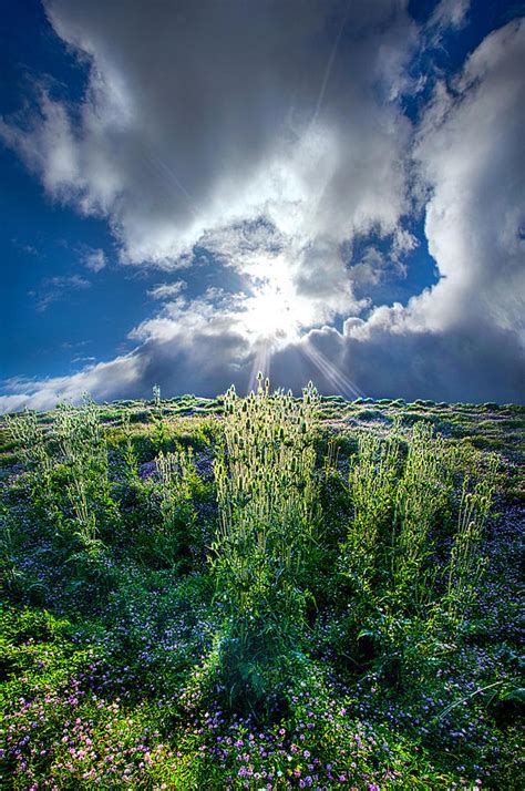 Up And Over Photograph By Phil Koch Fine Art America