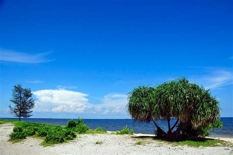 Turismo En Central Kalimantan Indonesia 2022 Opiniones Consejos E