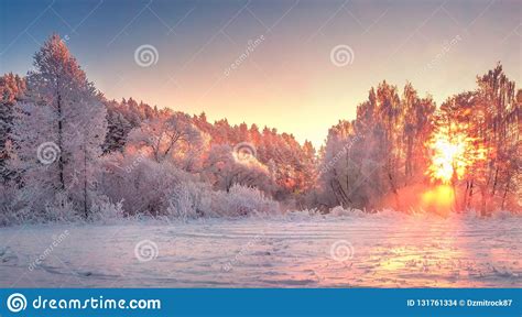 Winter Morning Landscape Sunrise Stock Photo Image Of