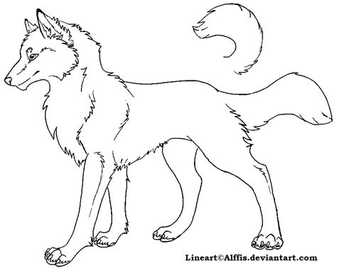 Wolf dog breeds under 40 lbs. New free wolf/dog lineart by Alffis on DeviantArt