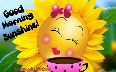 Sunny Good Morning Sunshine Graphic Pictures Photos And Images For
