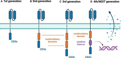 Frontiers Next Generations Of Car T Cells New Therapeutic