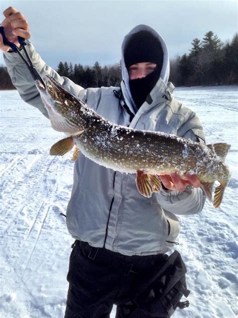 If you're looking for fishing near you, finding an available fishing guide will be no trouble at all. Annabessacook Lake ME Fishing Reports, Map & Hot Spots