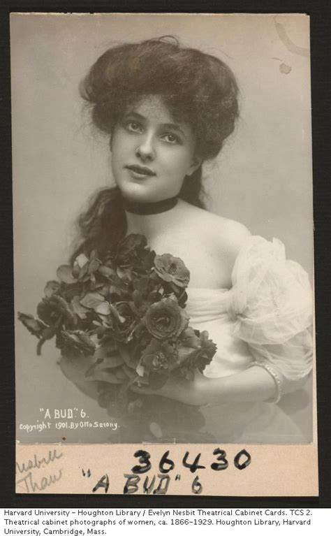 Evelyn Nesbit In A Bud 1901 Gibson Girl Evelyn Nesbit Vintage Portraits
