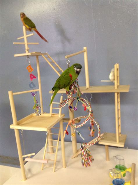Home Made Bird Play Stand Diy Bird Toys Best Pet Birds Birds For Kids