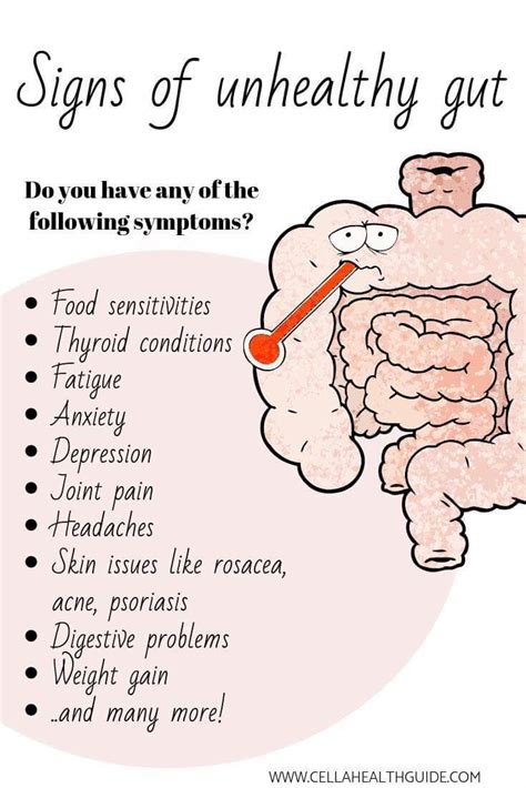 did you know that digestive and bowel disorders are not the only signs of an unhealthy gut and