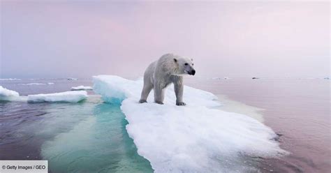 10 Photos Qui Révèlent Le Visage Du Changement Climatique Geofr