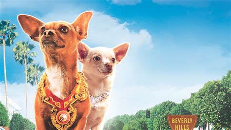 49 Beverly Hills Chihuahua Games Pic Bleumoonproductions