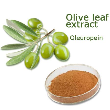Olive Leaf Extract All About Naturals Raw Plant Materials