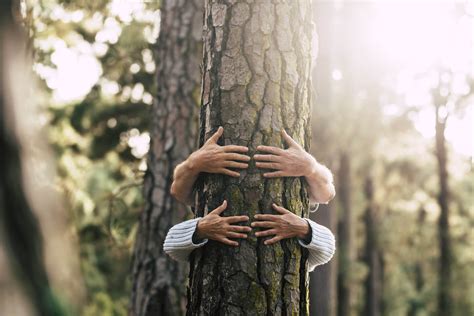 Consommer Autrement Pour Protéger Les Forêts Bebiodiversity