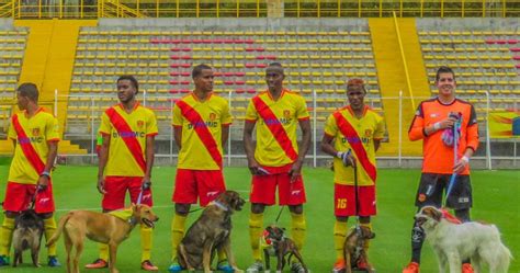 Un Partido Del F Tbol Colombiano Tuvo A Los Perros Como Protagonistas