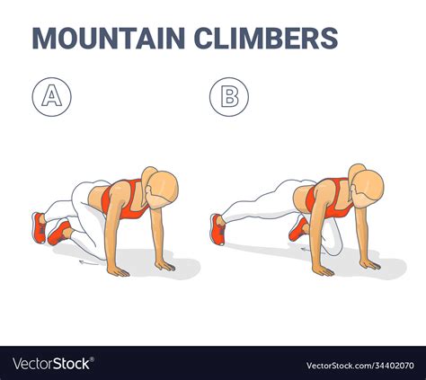 Mountain Climbers Home Workout Female Exercise Vector Image