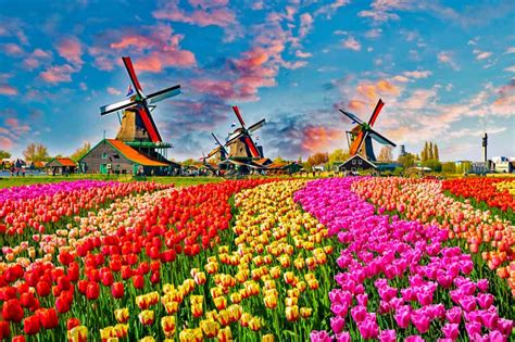 Informatie over reizen naar oostenrijk met de auto, met het vliegtuig of op alles hangt natuurlijk af van je vertrekpunt in nederland en de uiteindelijke bestemming binnen. Zonder Schengenvisum naar Nederland reizen | Schengenvisum ...