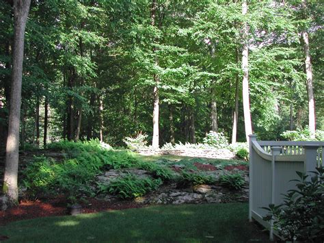 Maybe you would like to learn more about one of these? Sandy's garden in Connecticut - FineGardening