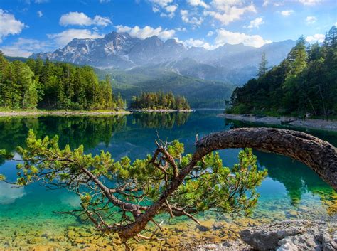 Nature animated video for wallpaper engine. lake, Germany, Forest, Summer, Mountain, Trees, Water ...