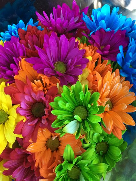 Colorful Daisies Beautiful Bouquet Of Flowers Beautiful Flowers Pretty Flowers