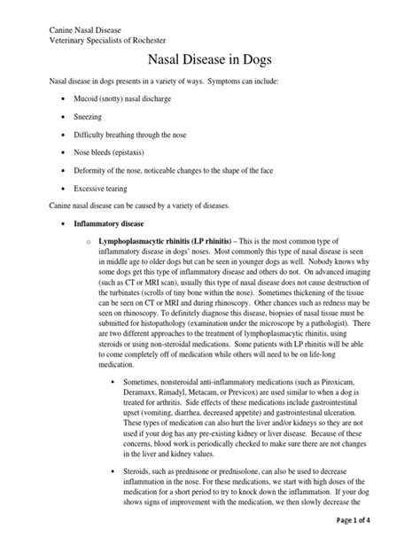 Canine Nasal Anatomy