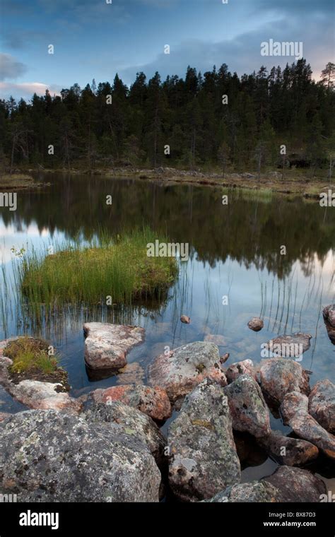 Lake Close To Inari Lapland Finland Stock Photo Alamy