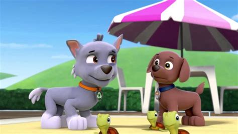 Paw Patrol Pups Save A Mer Pup Clip Compilation 2015 Hd 1080 Youtube