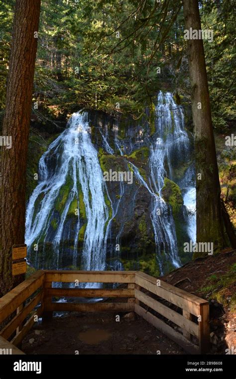 Panther Creek Falls Ford Pinchot National Forest Washington State