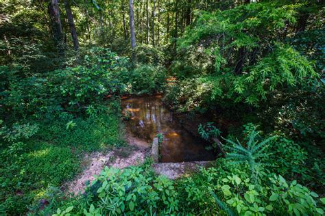 See 11 traveler reviews, 10 photos and blog posts Wall Doxey State Park Campground | Outdoor Project
