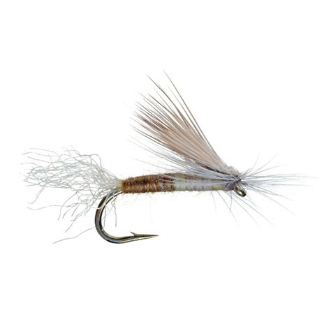 Cutters Ec Caddis Fly Trident Fly Fishing