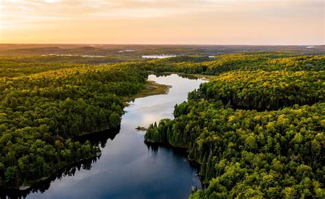 ¿qué Es El Medioambiente Y Por Qué Es Clave Para La Vida