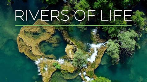 Rivers Of Life Video Thirteen New York Public Media