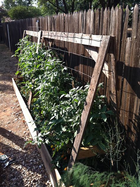 Vegetables What Are Inexpensive Materials For Homemade Tomato Cages