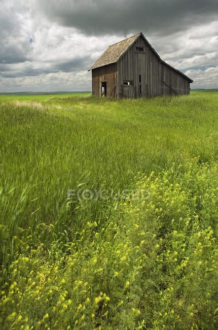 Old Rustic Farm Building Near Leader Saskatchewan Canada — Nature