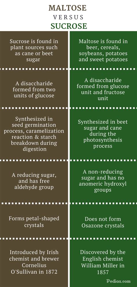 Difference Between Maltose And Sucrose Definition Structure