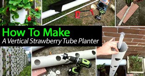 How To Make A Vertical Strawberry Tube Planter