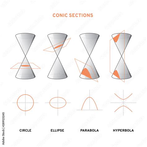 Conic Section Drawing Circle Ellipse Parabola Hyperbola Vector