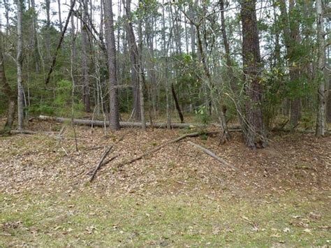 Coldspring tx homes for sale & properties. 135 Green Tree, Coldspring Interior Lot, Cape Royale ...
