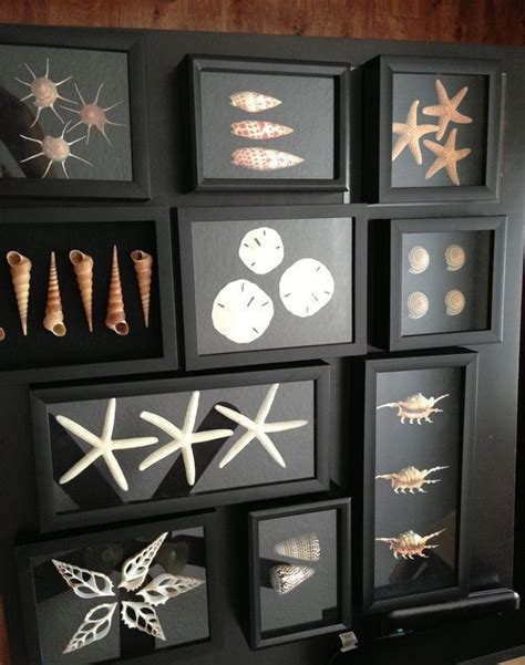 40 Unique Sea Shell Craft Diy Ideas You Will Love Diy Shadow Box