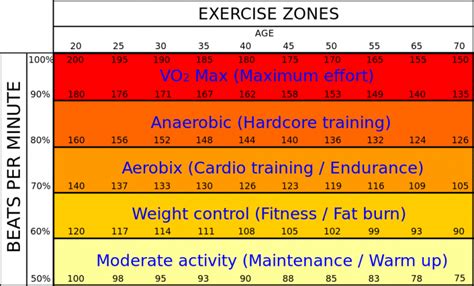 Heart Rate Training For Running How To Get Started The Ultimate Primate