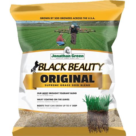 Buy Jonathan Green Black Beauty Grass Seed Mixture Medium Texture