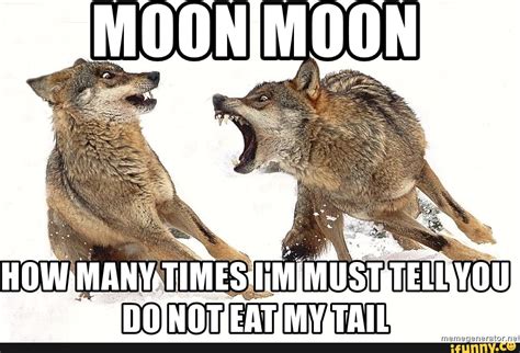 Moon Moon Meme