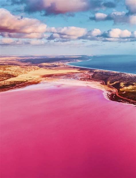Pink Lake Western Australia Travel Pink Lake Australia Travel